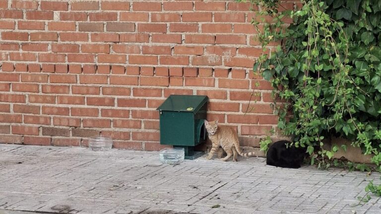 dispensadores de alimentos instalados en carrion de calatrava