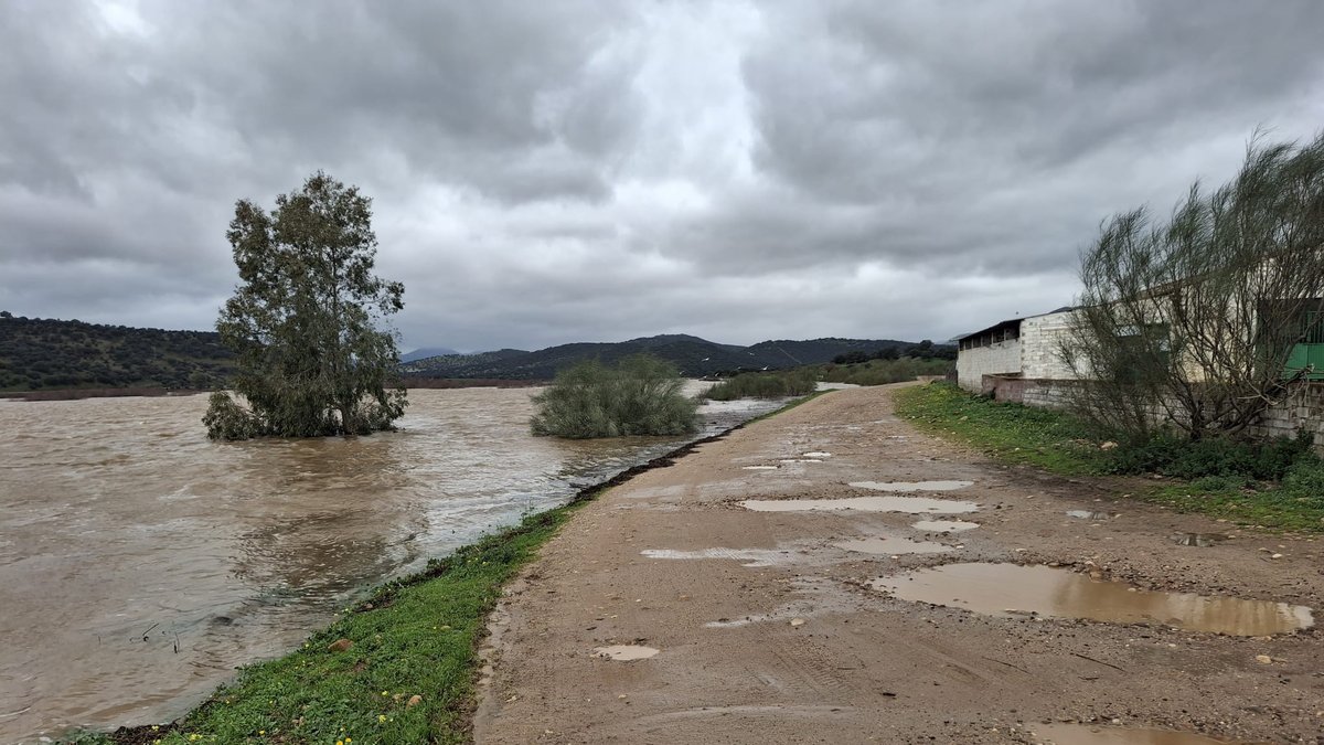 e140043e 6ec3 4b7a 9a40 a5c801aee235