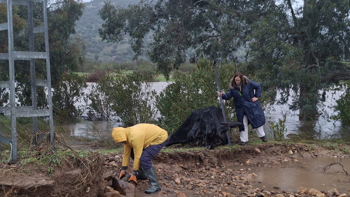 f07e8526 fb41 46d6 9205 0a4716c49bf6