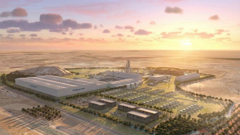 planta hydnum atardecer envio