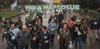 vox mercosur1