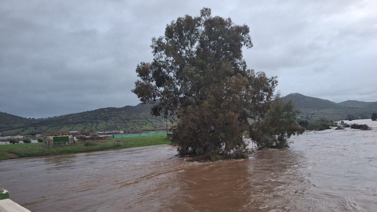 whatsapp image 2026 02 05 at 08 42 11 2