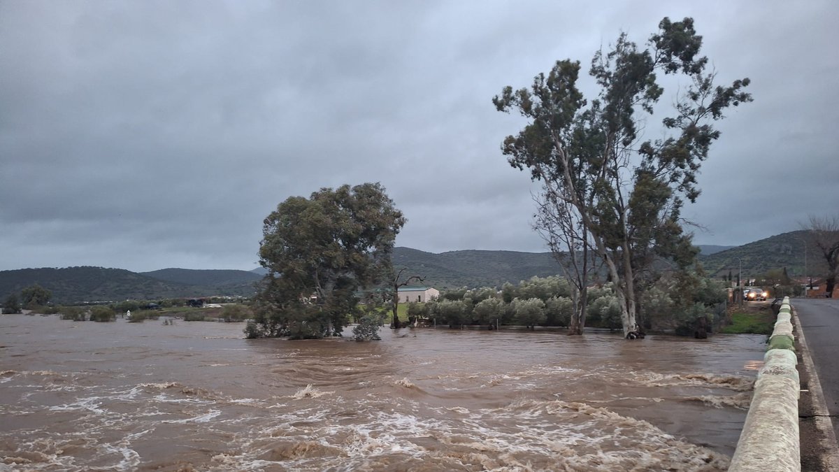 whatsapp image 2026 02 05 at 08 42 11 3