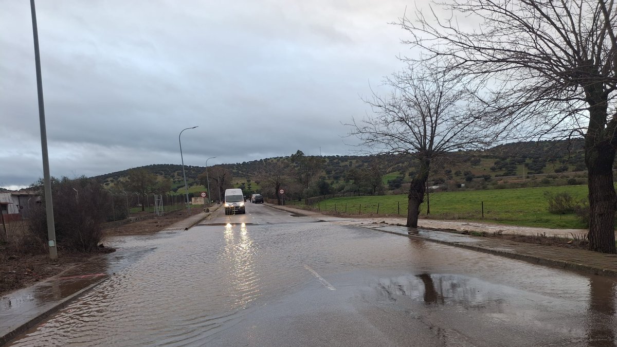 whatsapp image 2026 02 05 at 08 42 11