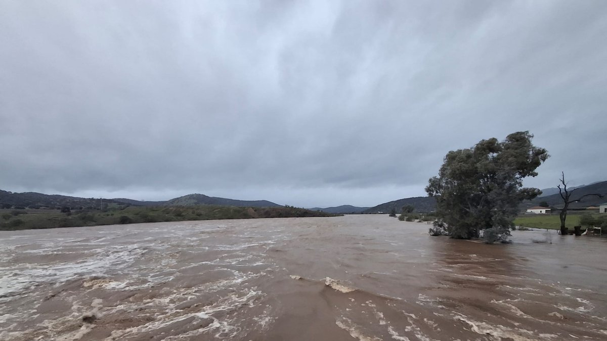 whatsapp image 2026 02 05 at 08 42 12 1