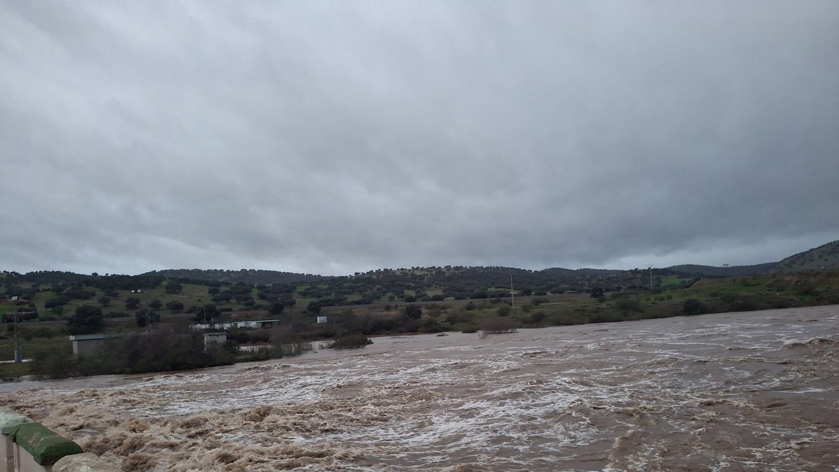 whatsapp image 2026 02 05 at 08 42 12 2