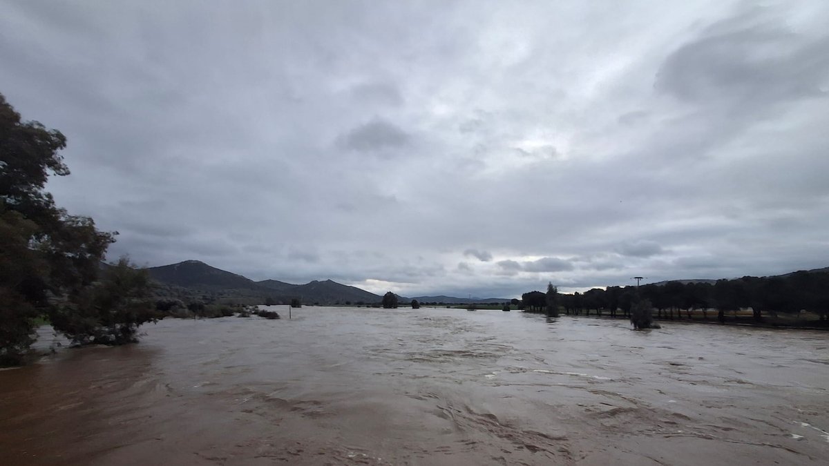 whatsapp image 2026 02 05 at 08 42 12