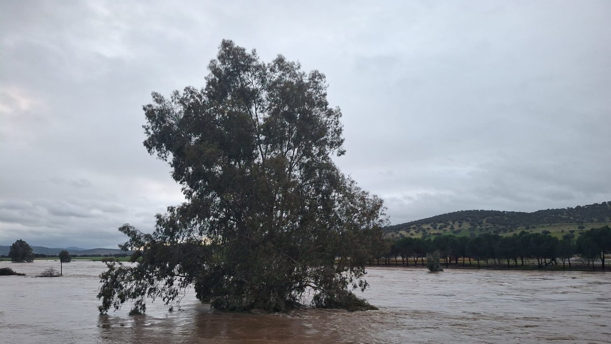 whatsapp image 2026 02 05 at 08 42 13 1