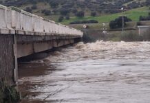 whatsapp image 2026 02 05 at 08 42 13 2