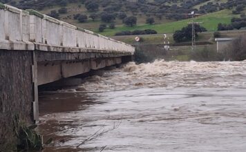 whatsapp image 2026 02 05 at 08 42 13 2