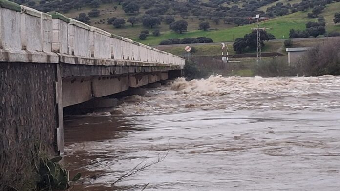 whatsapp image 2026 02 05 at 08 42 13 2