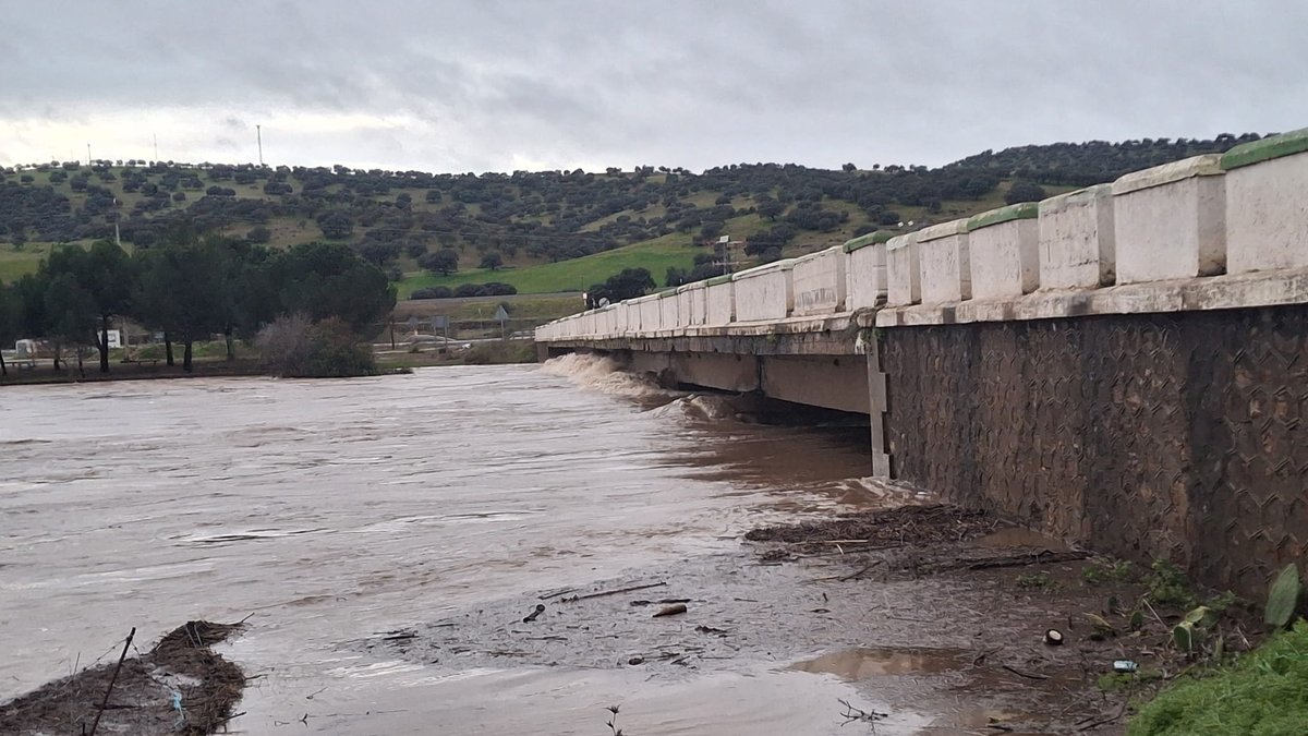 whatsapp image 2026 02 05 at 08 42 13 3