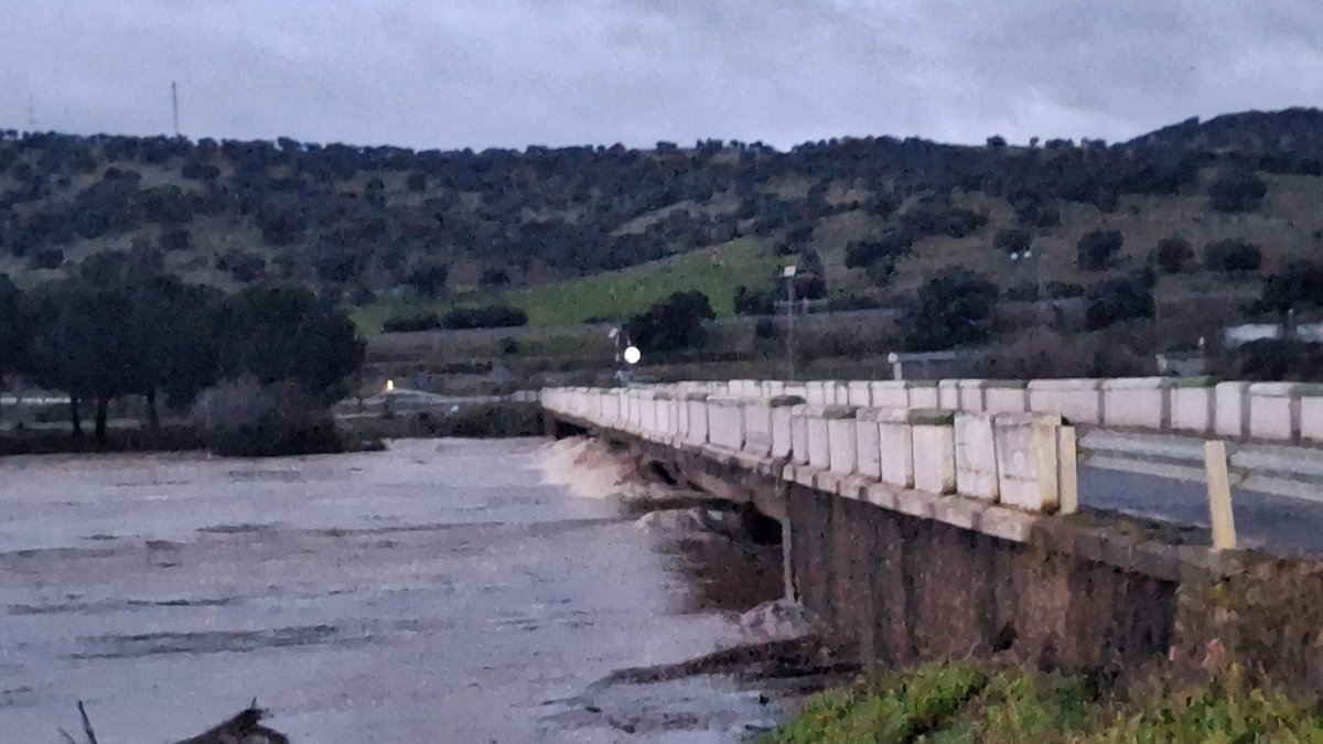 whatsapp image 2026 02 05 at 08 42 13 4