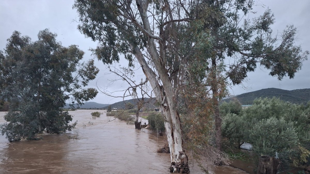 whatsapp image 2026 02 05 at 08 42 13