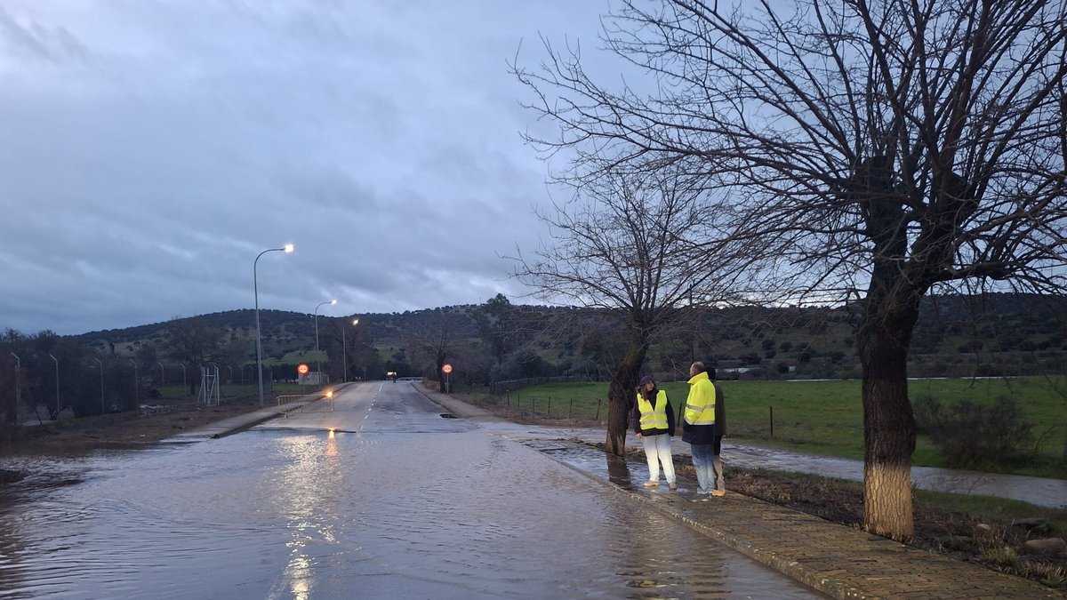 whatsapp image 2026 02 05 at 08 47 19