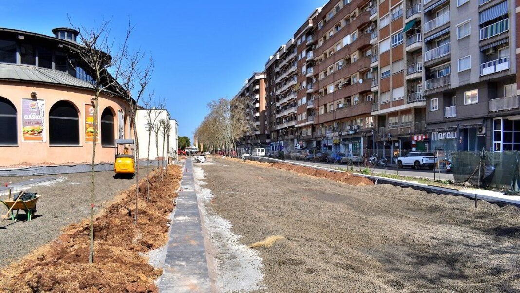 arboles 6 01