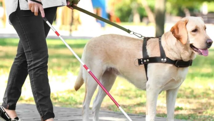 jccm 1426080 20210627 dia internacional de las personas sordociegas jpg