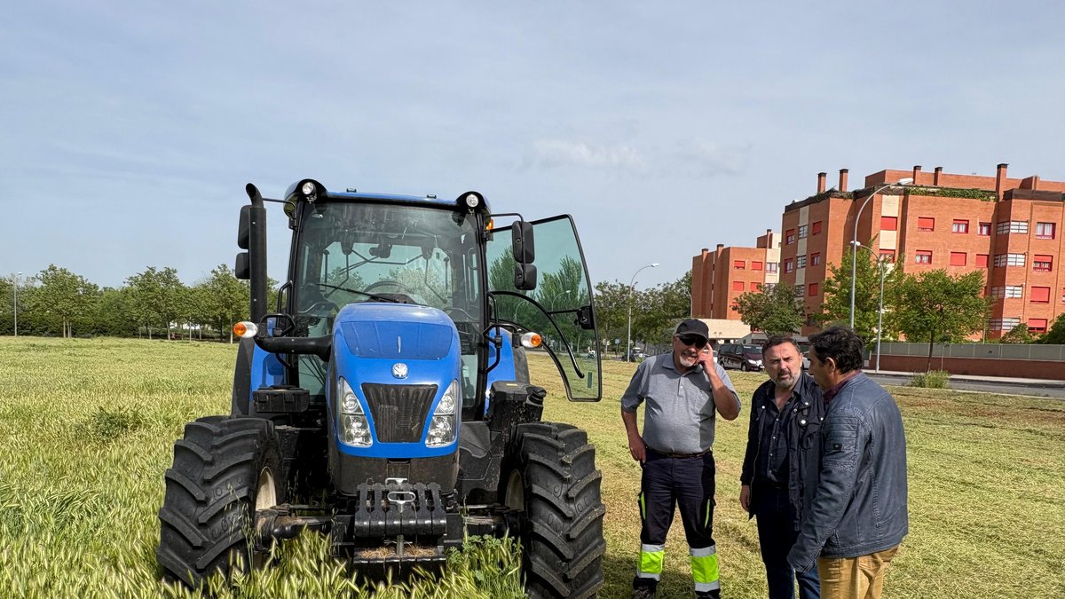 campana municipal para limpiar solares y mejorar la seguridad urbana 3