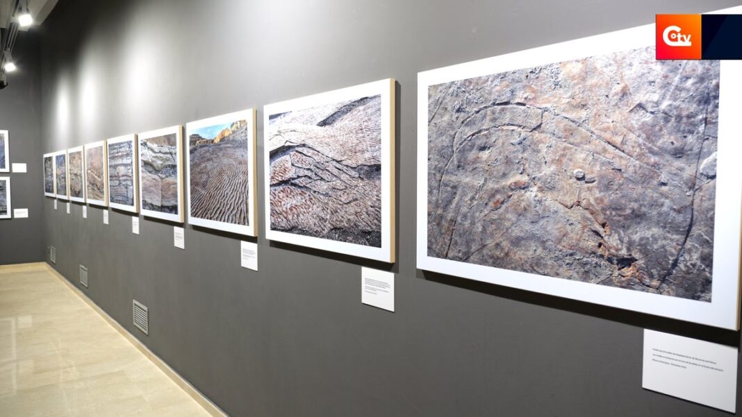 foto expo pilar 6 1 4