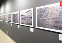 foto expo pilar 6 1 4