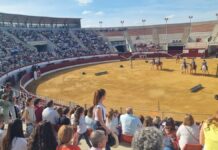 caballos1