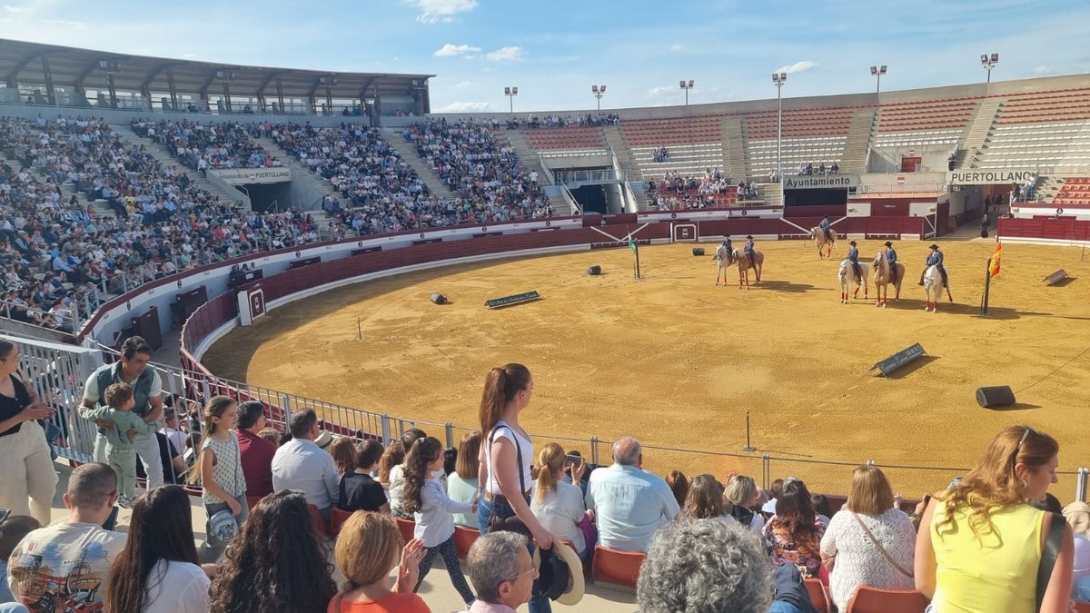 caballos1