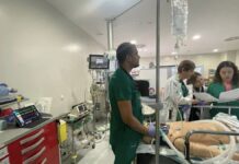 simulacion in situ jpg