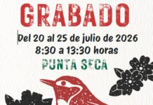 curso