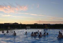 pisci joven 2 2