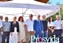 prosvida 2 01