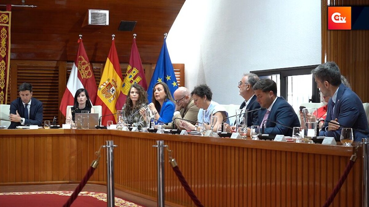PORTADA 11 Intervención del Grupo Municipal Socialista de Puertollano, durante el Pleno municipal.