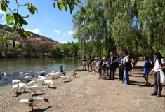 Niños y niñas de la Escuela de Verano participan en una actividad sobre la fauna y el entorno natural en el parque de las Pocitas de Puertollano.
