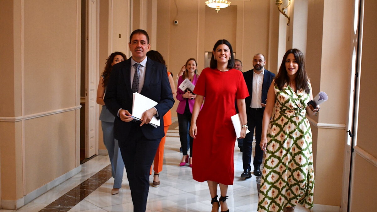 Grupo Socialista