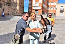 Presentación del servicio de cetrería ecológica para el control de aves en Puertollano.
