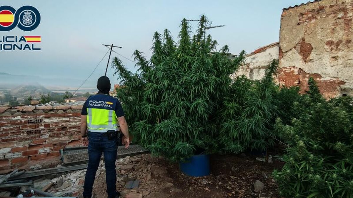 Agentes de la Policía Nacional durante una intervención relacionada con una investigación por presunto tráfico de drogas en Puertollano.