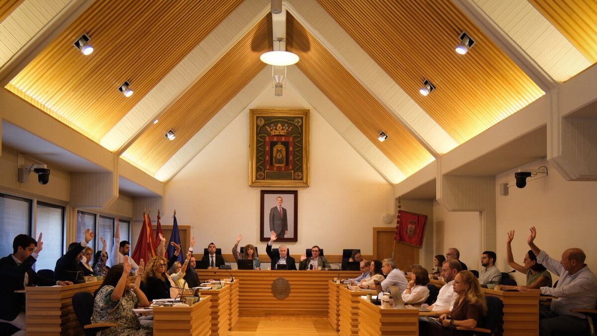 Votación IBI Ordenanzas Fiscales