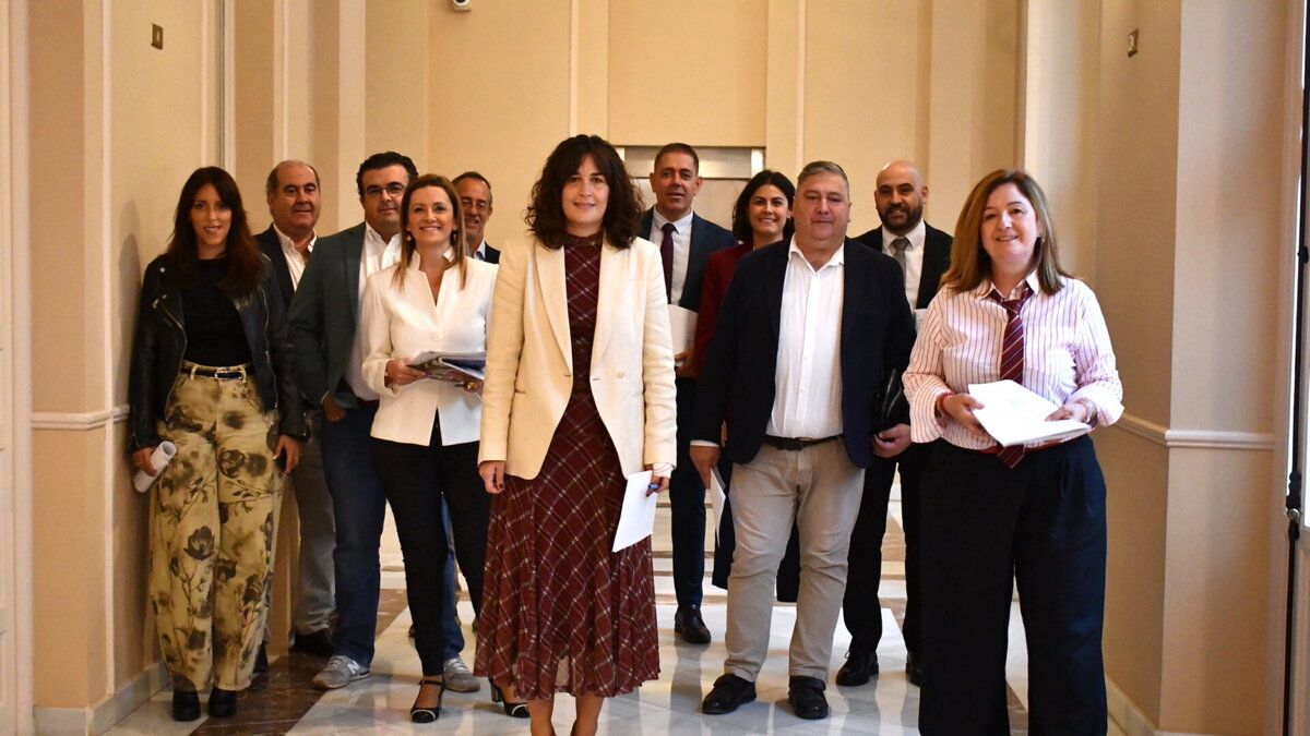 Grupo Socialista en la Diputación de Ciudad Real