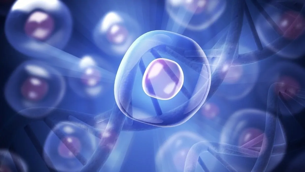 SALUD Y BIENESTAR 11 celulas