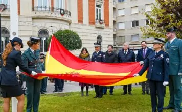 dia de la constitucion