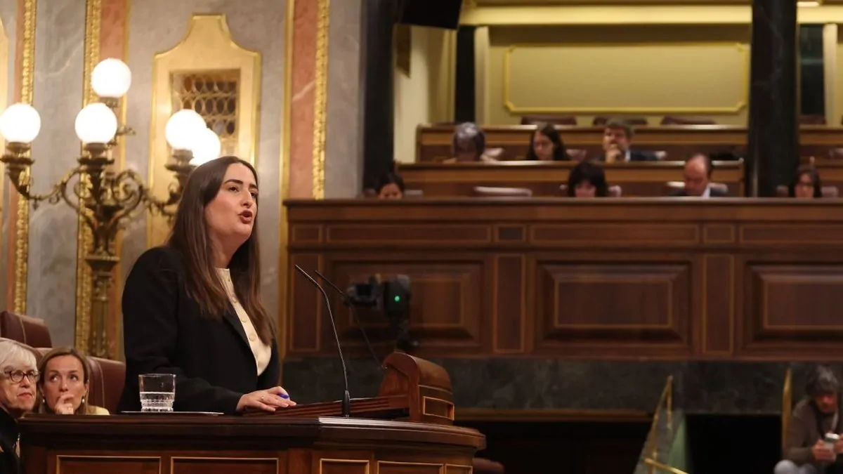 imagen cristina lopez congreso